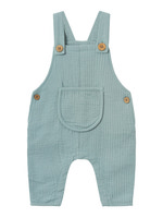 Nason nreg overall - ABYSS