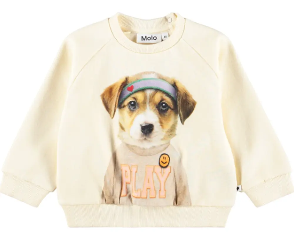 Molo Disc Sweatshirt - Game Pup - 74