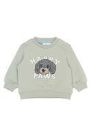 Sacarias Sweatshirt - Aqua gray