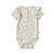 Dictesb body - 0103