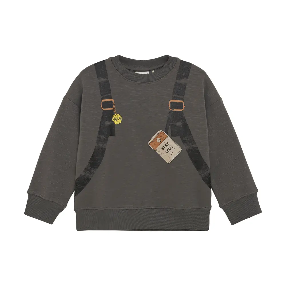 Sweatshirt 1403 110