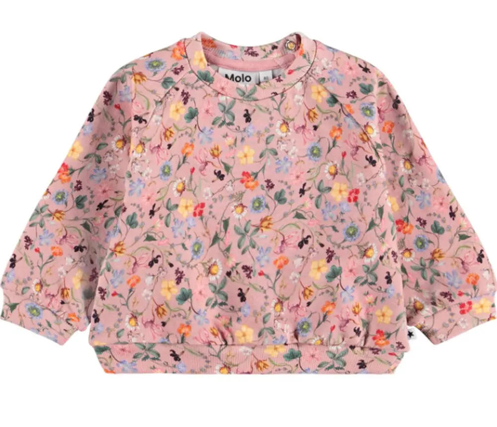 Molo Disc Sweatshirt - Delicate Mini - 80
