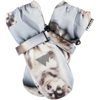 Molo Igor Vanter - Husky Cubs