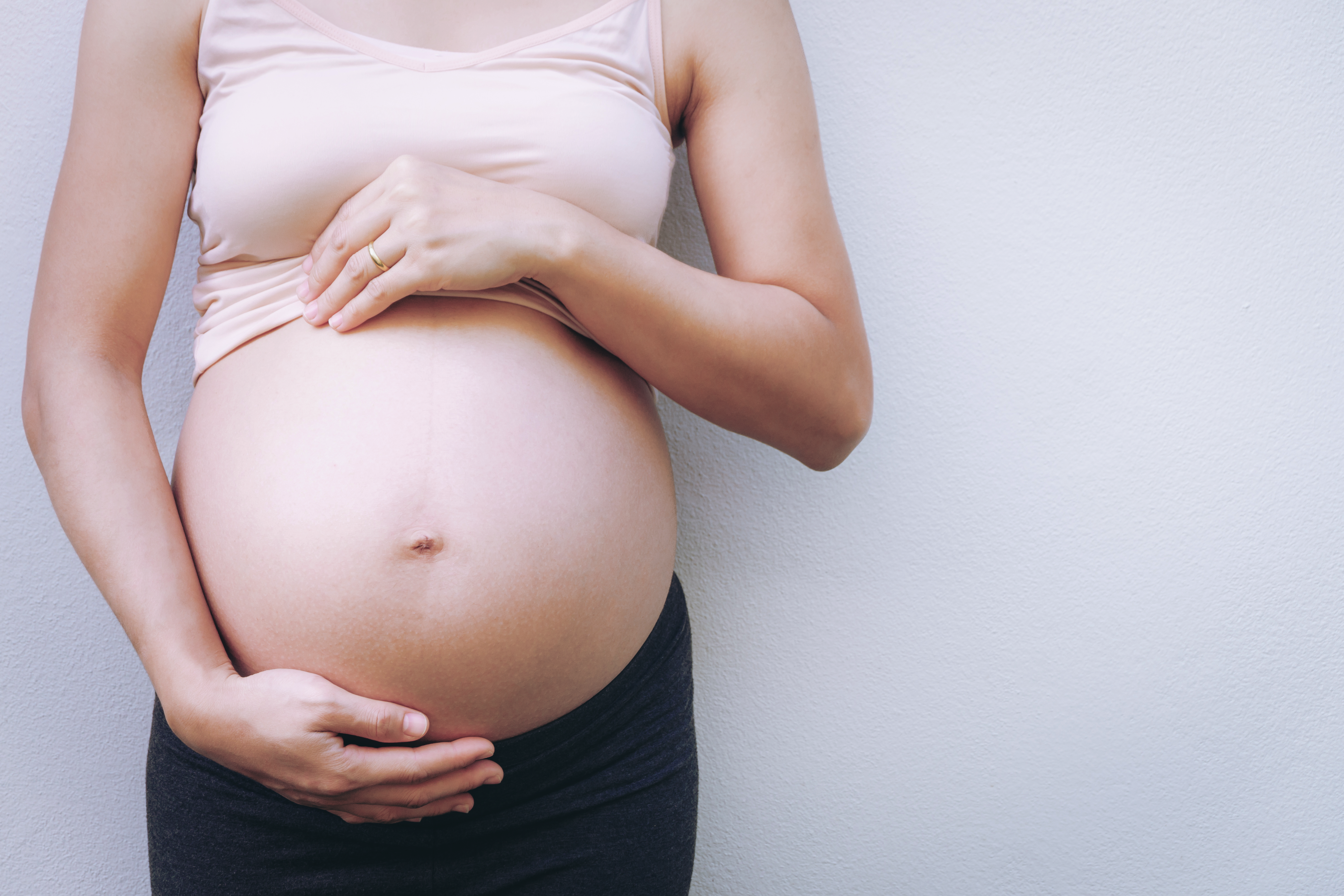 Gravid