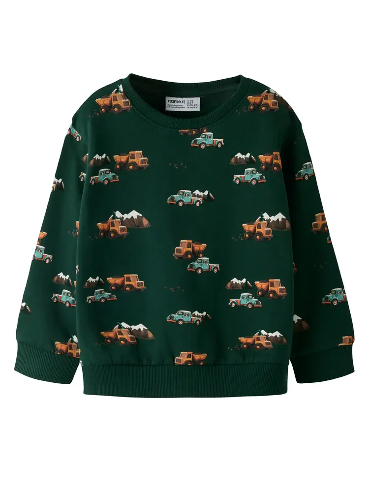 Name It Onikian Sweatshirt - Pine Grove - 104