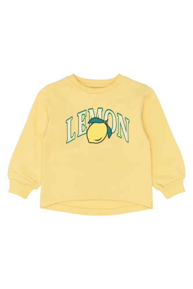 Shelby Sweatshirt - Dusky Citron - 86