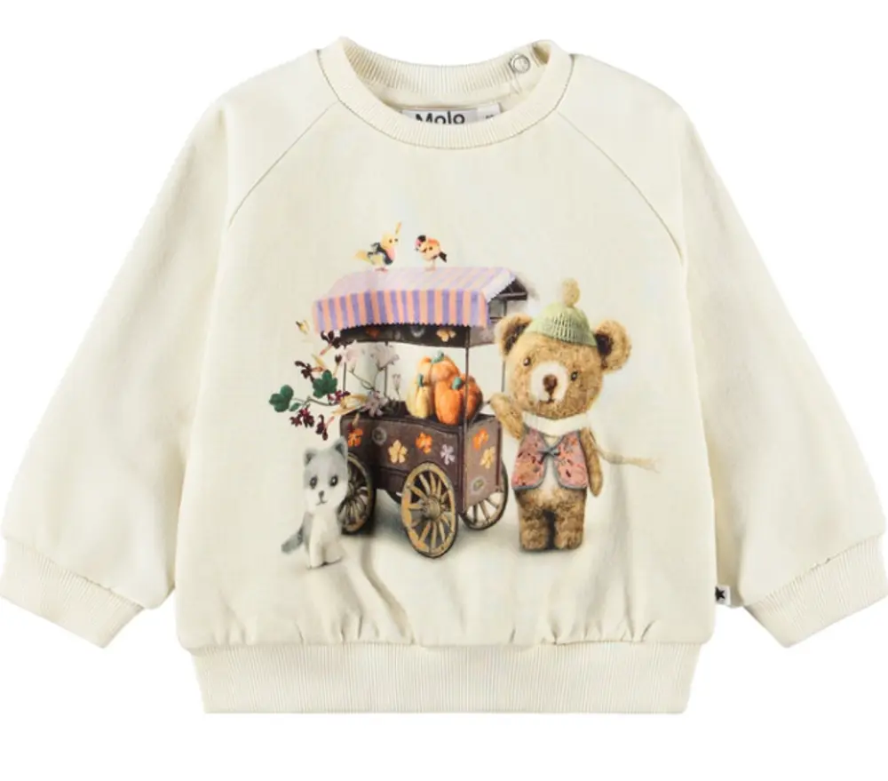 Molo Disc Sweatshirt - Flower Market - 80