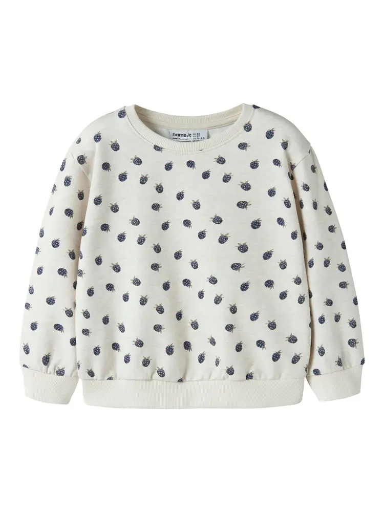 Name It Omer Sweatshirt - Peyote Melange - 80