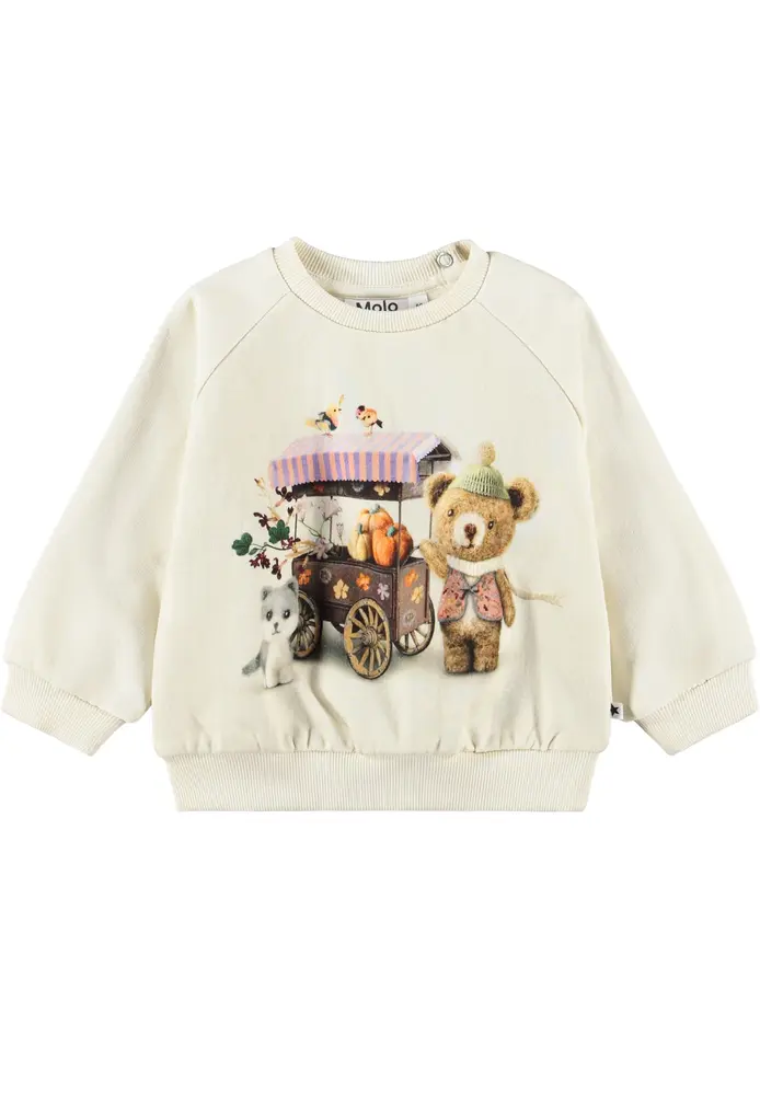 Molo Disc Sweatshirt - Flower Market - 104
