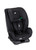 Joie Fortifi R129 Autostol - Shale
