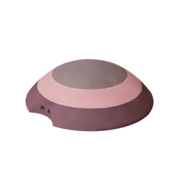 Skildpadde vintage rose billede