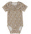 Dictesb body - 4116