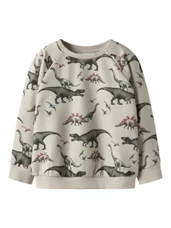 Name It Sweatshirt Pumice Stone Med Dinosaurprint - Str. 6y 116cm