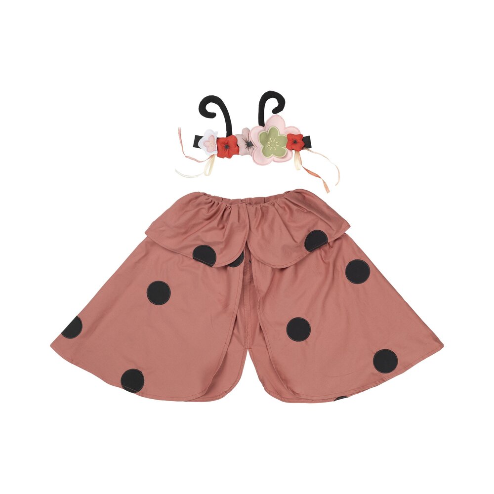 Dress-up Ladybug set