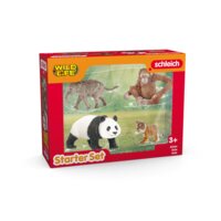 Wild Life "Asia" Starter Set