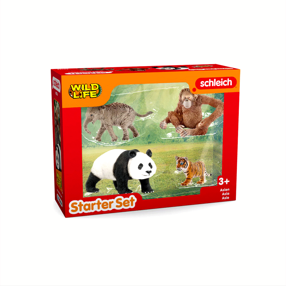 Wild Life "Asia" Starter Set