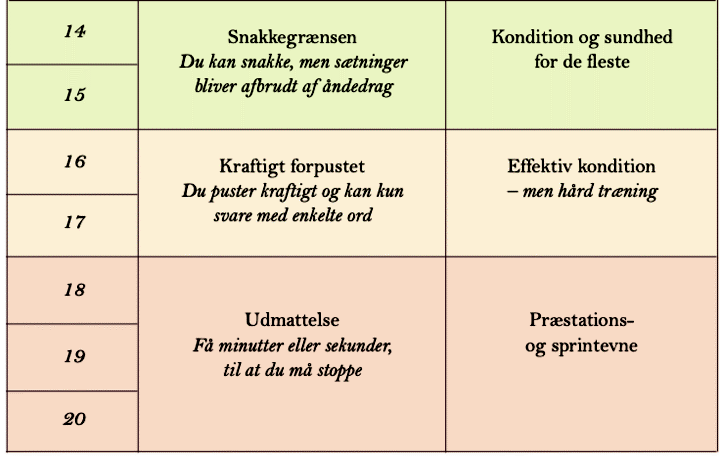 Borg-skalaen